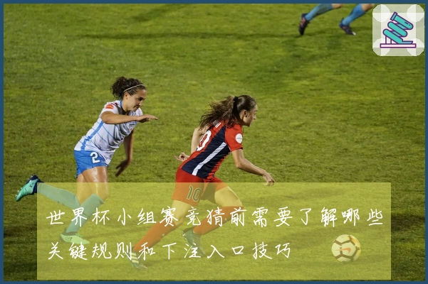 世界杯小组赛竞猜前需要了解哪些关键规则和下注入口技巧