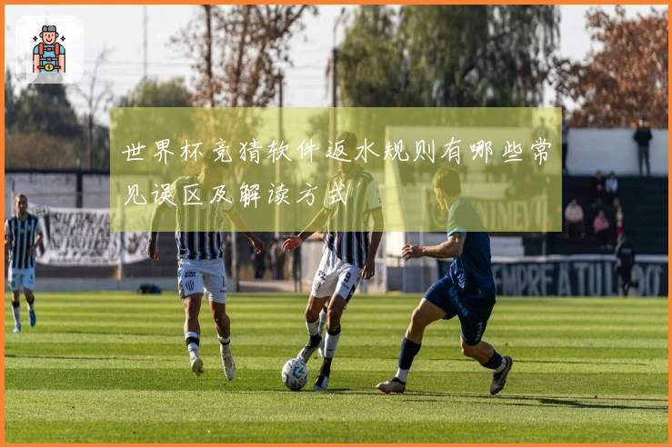 世界杯竞猜软件返水规则有哪些常见误区及解读方式